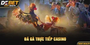 Đá gà trực tiếp casino DEBET với hình ảnh trận đấu gà
